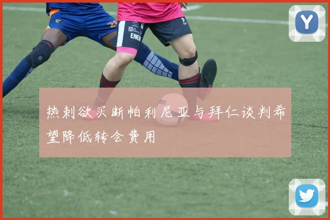 热刺欲买断帕利尼亚与拜仁谈判希望降低转会费用