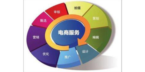 上海品牌电子商务服务的真实性与可行性分析